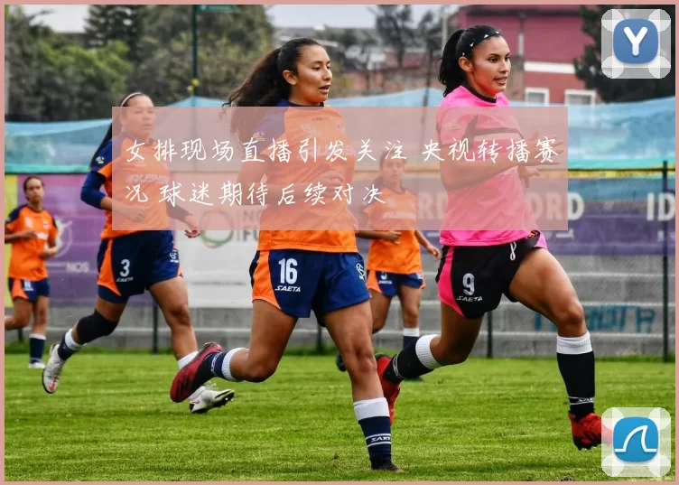 女排现场直播引发关注 央视转播赛况 球迷期待后续对决