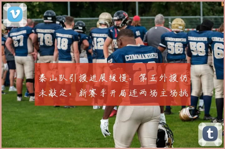 泰山队引援进展缓慢，第五外援仍未敲定，新赛季开局连两场主场挑战压力大_比赛_时间_关键