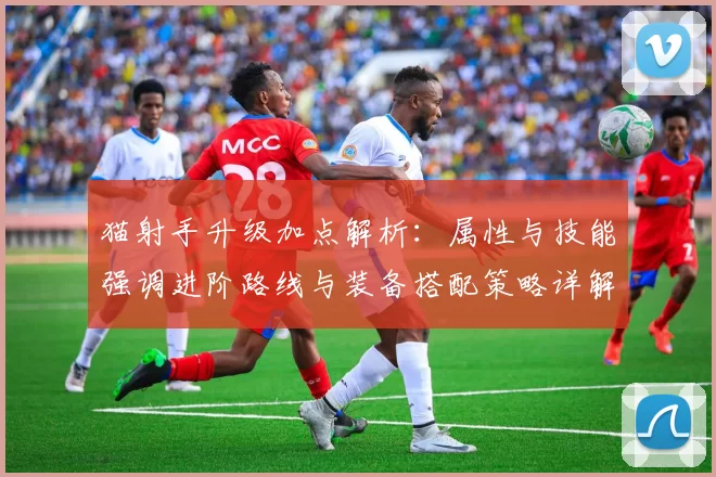 猫射手升级加点解析：属性与技能强调进阶路线与装备搭配策略详解