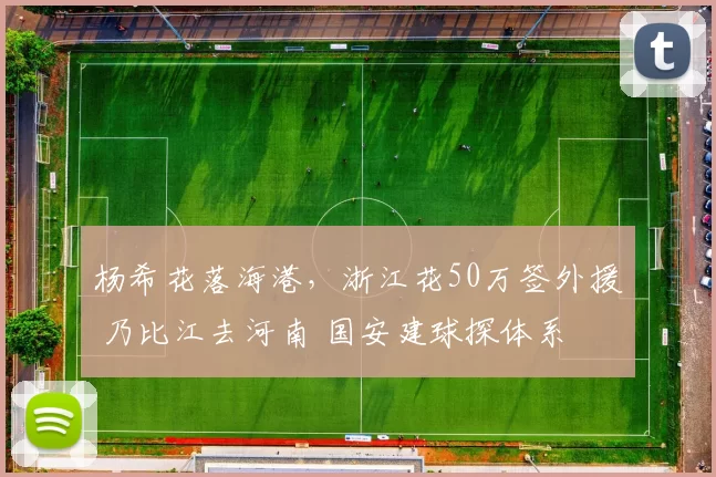 杨希花落海港，浙江花50万签外援 乃比江去河南 国安建球探体系